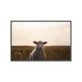 Picture of Grazing Sheep  _GroupedProduct_Rectangle_Landscape_Photography _GroupedProduct_Rectangle_Landscape_Canvas_Framed_