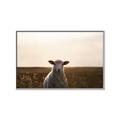 Picture of Grazing Sheep  _GroupedProduct_Rectangle_Landscape_Photography _GroupedProduct_Rectangle_Landscape_Canvas_Framed_