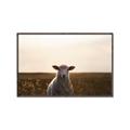 Picture of Grazing Sheep  _GroupedProduct_Rectangle_Landscape_Photography _GroupedProduct_Rectangle_Landscape_Canvas_Framed_