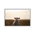 Picture of Grazing Sheep  _GroupedProduct_Rectangle_Landscape_Photography _GroupedProduct_Rectangle_Landscape_Canvas_Framed_