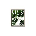 Picture of Green Palms _GroupedProduct_Rectangle_Portrait_Photography _GroupedProduct_Rectangle_Portrait_Canvas_Framed_
