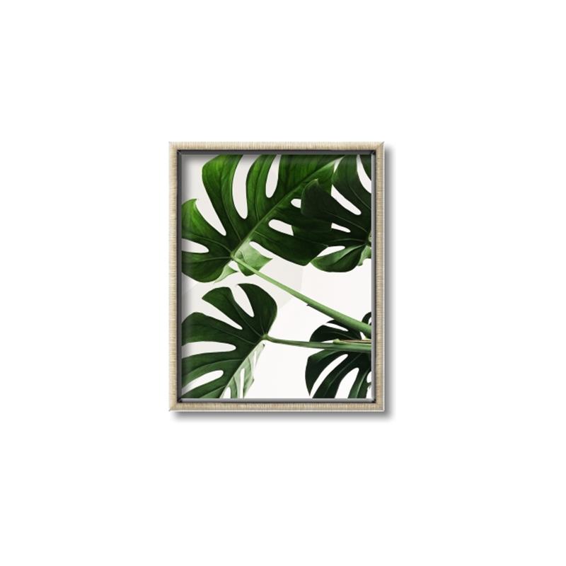 Picture of Green Palms _GroupedProduct_Rectangle_Portrait_Photography _GroupedProduct_Rectangle_Portrait_Canvas_Framed_