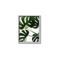Picture of Green Palms _GroupedProduct_Rectangle_Portrait_Photography _GroupedProduct_Rectangle_Portrait_Canvas_Framed_