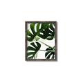 Picture of Green Palms _GroupedProduct_Rectangle_Portrait_Photography _GroupedProduct_Rectangle_Portrait_Canvas_Framed_