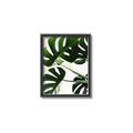 Picture of Green Palms _GroupedProduct_Rectangle_Portrait_Photography _GroupedProduct_Rectangle_Portrait_Canvas_Framed_