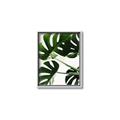 Picture of Green Palms _GroupedProduct_Rectangle_Portrait_Photography _GroupedProduct_Rectangle_Portrait_Canvas_Framed_