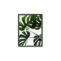 Picture of Green Palms _GroupedProduct_Rectangle_Portrait_Photography _GroupedProduct_Rectangle_Portrait_Canvas_Framed_
