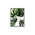 Picture of Green Palms _GroupedProduct_Rectangle_Portrait_Photography _GroupedProduct_Rectangle_Portrait_Canvas_Framed_