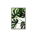 Picture of Green Palms _GroupedProduct_Rectangle_Portrait_Photography _GroupedProduct_Rectangle_Portrait_Canvas_Framed_