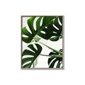 Picture of Green Palms _GroupedProduct_Rectangle_Portrait_Photography _GroupedProduct_Rectangle_Portrait_Canvas_Framed_