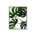 Picture of Green Palms _GroupedProduct_Rectangle_Portrait_Photography _GroupedProduct_Rectangle_Portrait_Canvas_Framed_