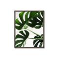 Picture of Green Palms _GroupedProduct_Rectangle_Portrait_Photography _GroupedProduct_Rectangle_Portrait_Canvas_Framed_