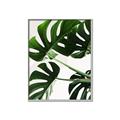 Picture of Green Palms _GroupedProduct_Rectangle_Portrait_Photography _GroupedProduct_Rectangle_Portrait_Canvas_Framed_