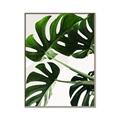 Picture of Green Palms _GroupedProduct_Rectangle_Portrait_Photography _GroupedProduct_Rectangle_Portrait_Canvas_Framed_