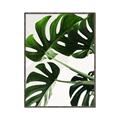 Picture of Green Palms _GroupedProduct_Rectangle_Portrait_Photography _GroupedProduct_Rectangle_Portrait_Canvas_Framed_