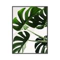 Picture of Green Palms _GroupedProduct_Rectangle_Portrait_Photography _GroupedProduct_Rectangle_Portrait_Canvas_Framed_