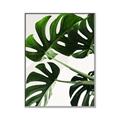 Picture of Green Palms _GroupedProduct_Rectangle_Portrait_Photography _GroupedProduct_Rectangle_Portrait_Canvas_Framed_