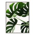Picture of Green Palms _GroupedProduct_Rectangle_Portrait_Photography _GroupedProduct_Rectangle_Portrait_Canvas_Framed_