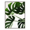 Picture of Green Palms _GroupedProduct_Rectangle_Portrait_Photography _GroupedProduct_Rectangle_Portrait_Canvas_Framed_