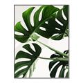 Picture of Green Palms _GroupedProduct_Rectangle_Portrait_Photography _GroupedProduct_Rectangle_Portrait_Canvas_Framed_