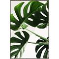Picture of Green Palms _GroupedProduct_Rectangle_Portrait_Photography _GroupedProduct_Rectangle_Portrait_Canvas_Framed_