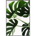 Picture of Green Palms _GroupedProduct_Rectangle_Portrait_Photography _GroupedProduct_Rectangle_Portrait_Canvas_Framed_