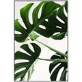 Picture of Green Palms _GroupedProduct_Rectangle_Portrait_Photography _GroupedProduct_Rectangle_Portrait_Canvas_Framed_