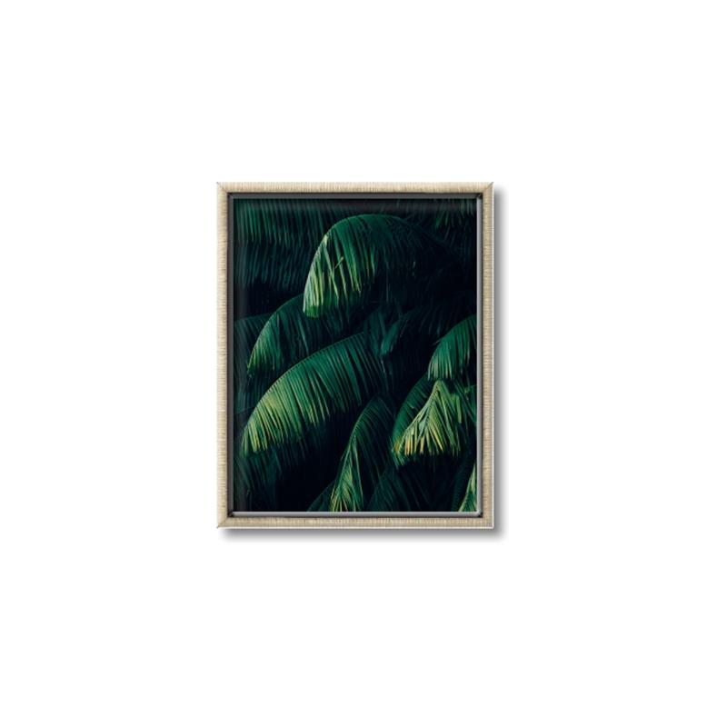 Picture of Greenleaf I _GroupedProduct_Rectangle_Portrait_Photography _GroupedProduct_Rectangle_Portrait_Canvas_Framed_