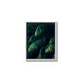 Picture of Greenleaf I _GroupedProduct_Rectangle_Portrait_Photography _GroupedProduct_Rectangle_Portrait_Canvas_Framed_