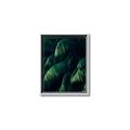 Picture of Greenleaf I _GroupedProduct_Rectangle_Portrait_Photography _GroupedProduct_Rectangle_Portrait_Canvas_Framed_