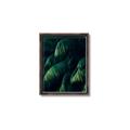 Picture of Greenleaf I _GroupedProduct_Rectangle_Portrait_Photography _GroupedProduct_Rectangle_Portrait_Canvas_Framed_