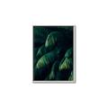 Picture of Greenleaf I _GroupedProduct_Rectangle_Portrait_Photography _GroupedProduct_Rectangle_Portrait_Canvas_Framed_