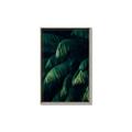 Picture of Greenleaf I _GroupedProduct_Rectangle_Portrait_Photography _GroupedProduct_Rectangle_Portrait_Canvas_Framed_