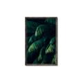 Picture of Greenleaf I _GroupedProduct_Rectangle_Portrait_Photography _GroupedProduct_Rectangle_Portrait_Canvas_Framed_
