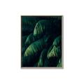 Picture of Greenleaf I _GroupedProduct_Rectangle_Portrait_Photography _GroupedProduct_Rectangle_Portrait_Canvas_Framed_