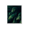 Picture of Greenleaf I _GroupedProduct_Rectangle_Portrait_Photography _GroupedProduct_Rectangle_Portrait_Canvas_Framed_