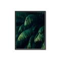 Picture of Greenleaf I _GroupedProduct_Rectangle_Portrait_Photography _GroupedProduct_Rectangle_Portrait_Canvas_Framed_