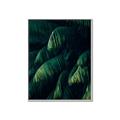 Picture of Greenleaf I _GroupedProduct_Rectangle_Portrait_Photography _GroupedProduct_Rectangle_Portrait_Canvas_Framed_