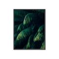 Picture of Greenleaf I _GroupedProduct_Rectangle_Portrait_Photography _GroupedProduct_Rectangle_Portrait_Canvas_Framed_