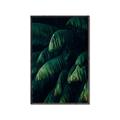 Picture of Greenleaf I _GroupedProduct_Rectangle_Portrait_Photography _GroupedProduct_Rectangle_Portrait_Canvas_Framed_
