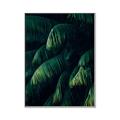 Picture of Greenleaf I _GroupedProduct_Rectangle_Portrait_Photography _GroupedProduct_Rectangle_Portrait_Canvas_Framed_