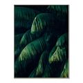 Picture of Greenleaf I _GroupedProduct_Rectangle_Portrait_Photography _GroupedProduct_Rectangle_Portrait_Canvas_Framed_