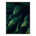 Picture of Greenleaf I _GroupedProduct_Rectangle_Portrait_Photography _GroupedProduct_Rectangle_Portrait_Canvas_Framed_