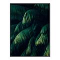 Picture of Greenleaf I _GroupedProduct_Rectangle_Portrait_Photography _GroupedProduct_Rectangle_Portrait_Canvas_Framed_