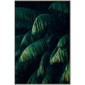 Picture of Greenleaf I _GroupedProduct_Rectangle_Portrait_Photography _GroupedProduct_Rectangle_Portrait_Canvas_Framed_