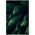 Picture of Greenleaf I _GroupedProduct_Rectangle_Portrait_Photography _GroupedProduct_Rectangle_Portrait_Canvas_Framed_