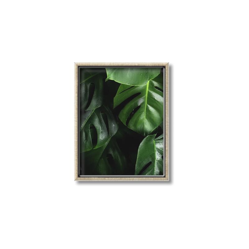Picture of Greenleaf II _GroupedProduct_Rectangle_Portrait_Photography _GroupedProduct_Rectangle_Portrait_Canvas_Framed_