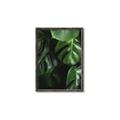 Picture of Greenleaf II _GroupedProduct_Rectangle_Portrait_Photography _GroupedProduct_Rectangle_Portrait_Canvas_Framed_