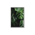 Picture of Greenleaf II _GroupedProduct_Rectangle_Portrait_Photography _GroupedProduct_Rectangle_Portrait_Canvas_Framed_