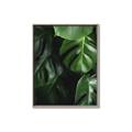 Picture of Greenleaf II _GroupedProduct_Rectangle_Portrait_Photography _GroupedProduct_Rectangle_Portrait_Canvas_Framed_